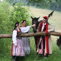 Wieź mie koniku, wieź